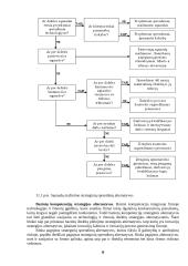 Strateginis organizacijų valdymas 7 puslapis