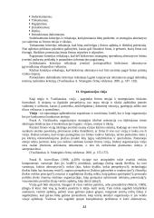 Strateginis organizacijų valdymas 9 puslapis