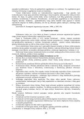 Strateginis organizacijų valdymas 10 puslapis