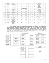Struktūrizuotos kabelinės sistemos modeliavimas ir projektavimas 6 puslapis