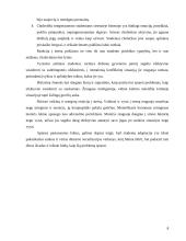 Studentų adaptacija naujoje studijų aplinkoje 8 puslapis