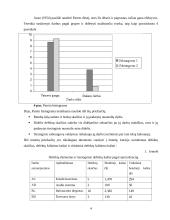 Subrangos valdymas 4 puslapis