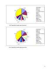 Suomijos socialinės ekonominės raidos ypatumai 11 puslapis