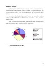 Suomijos socialinės ekonominės raidos ypatumai 13 puslapis