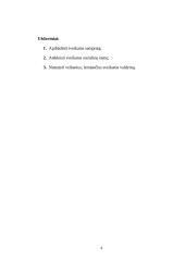 Sveikatos samprata bei sveikata formalioje ugdymo programoje 4 puslapis