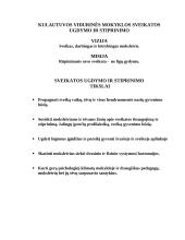 Sveikos gyvensenos ugdymas bei populiarinimas 11 puslapis