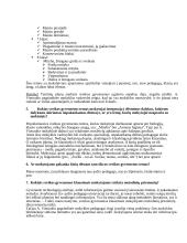 Sveikos gyvensenos ugdymo mokyklose analizė 5 puslapis