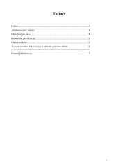 Šiuolaikinė globalizacija 2 puslapis