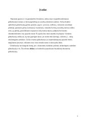 Šiuolaikinė globalizacija 3 puslapis