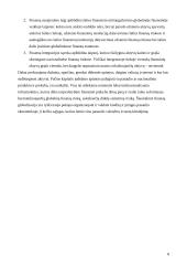 Šiuolaikinė globalizacija 8 puslapis