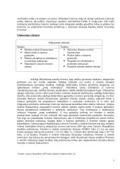 Šiuolaikinės lietuvių emigracijos pagrindinės priežastys 3 puslapis