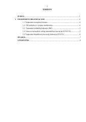 Tarptautinės transporto organizacijos ir jų politika 2 puslapis