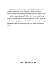 Tarptautiniai norminiai aktai, reglamentuojantys autorių teises 9 puslapis