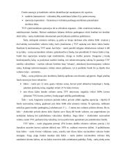 Tarptautinis valiutų fondas 13 puslapis