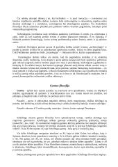 Technika ir gamta 4 puslapis