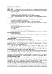 Lietuvos teisės pagrindai  3 puslapis