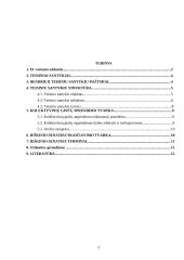 Teisiniai santykiai ir kolektyviniai ginčai 3 puslapis