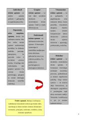 Teisės sąmonė ir teisės kultūra 4 puslapis