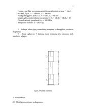 Tempiamo-gniuždomo strypo laikomosios galios tyrimas 2 puslapis