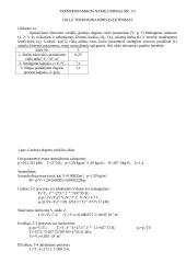 Termodinamika ir šilumokaita 2 puslapis