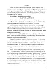 Tėvas šeimoje 2 puslapis