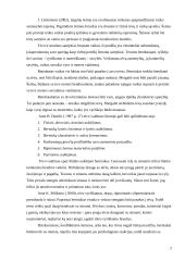 Tėvas šeimoje 3 puslapis