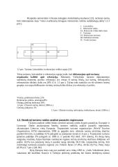 Turizmo paslaugos ir verslas 11 puslapis