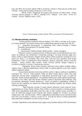 Turizmo paslaugos ir verslas 13 puslapis