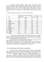 Turizmo paslaugos ir verslas 17 puslapis