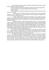 Turizmo paslaugos ir verslas 19 puslapis