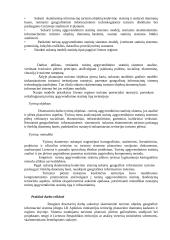 Turizmo paslaugos ir verslas 3 puslapis