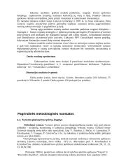 Turizmo paslaugos ir verslas 4 puslapis