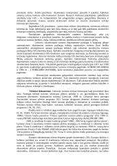 Turizmo paslaugos ir verslas 9 puslapis