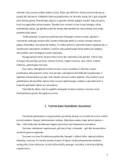 Turizmo plėtros ekologinės problemos 2 puslapis