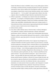 Turizmo plėtros ekologinės problemos 13 puslapis