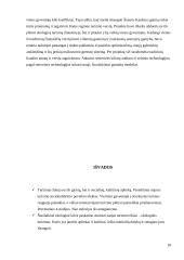 Turizmo plėtros ekologinės problemos 18 puslapis