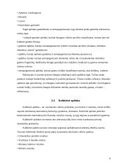 Turizmo plėtros ekologinės problemos 6 puslapis