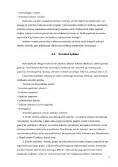 Turizmo plėtros ekologinės problemos 7 puslapis