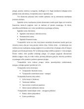 Turtas apskaitoje 2 puslapis