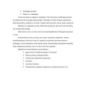 Turtas apskaitoje 3 puslapis