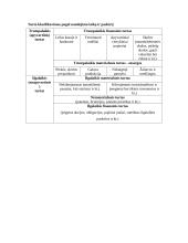 Turtas apskaitoje 4 puslapis