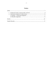 Unifikuotoji atlyginimo už darbą sistema 2 puslapis