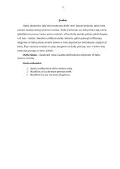 Unifikuotoji atlyginimo už darbą sistema 3 puslapis