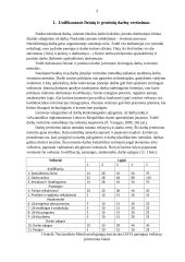 Unifikuotoji atlyginimo už darbą sistema 4 puslapis