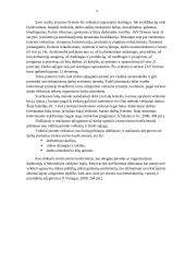 Unifikuotoji atlyginimo už darbą sistema 5 puslapis