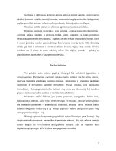 Užterštumas azoto dioksidu Lietuvoje ir Europoje 5 puslapis