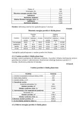 Vadybos proceso užduotis 10 puslapis