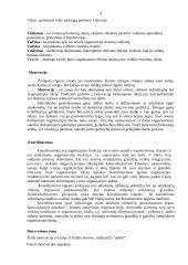 Kelių transporto vadyba  4 puslapis