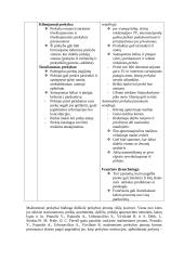 Stacionarinės prekybos įmonės 3 puslapis