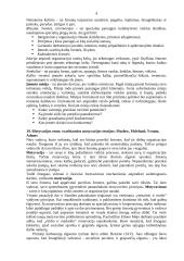 Darbuotojų motyvacija įmonėje 2 puslapis